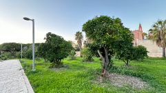 درجات الحرارة بانخفاض مع بداية الأسبوع المقبل